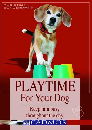 Playtime for your dog