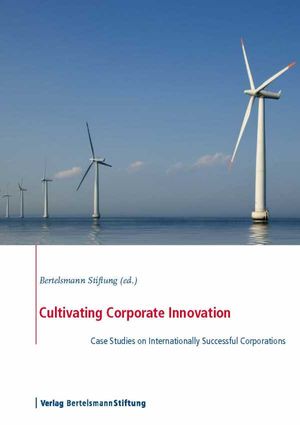 Cultivating Corporate Innovation