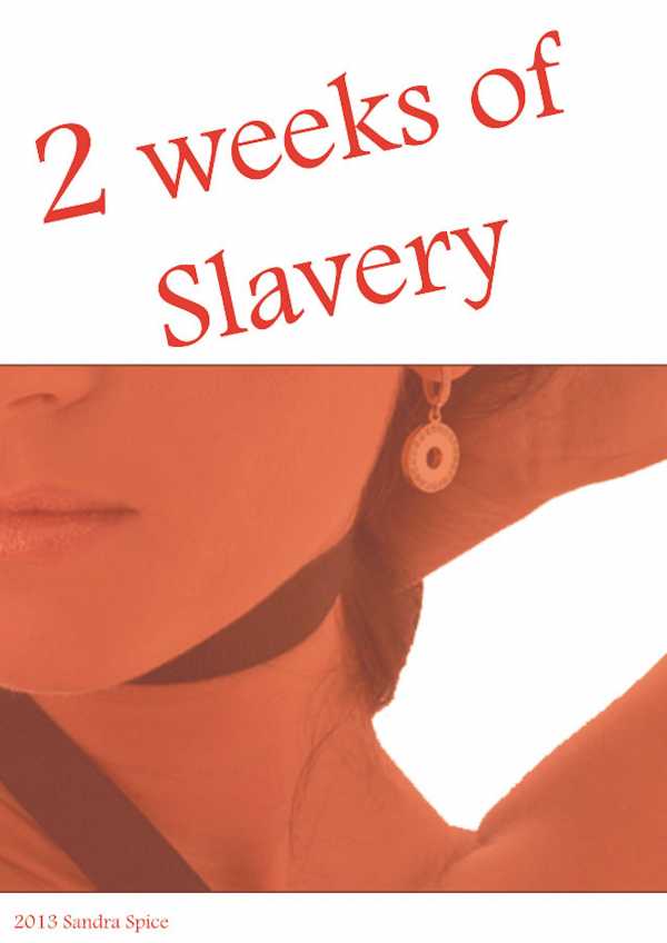 bw-2-weeks-of-slavery-adult-stories-international-9783955771409