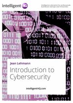 bw-introduction-to-cybersecurity-youpublish-9783958800762