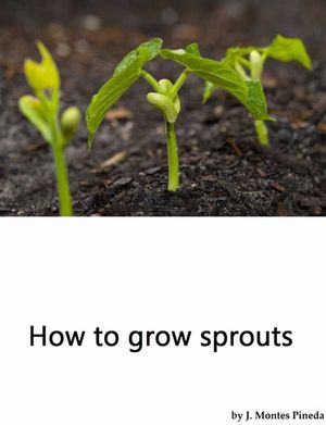 How to grow sprouts