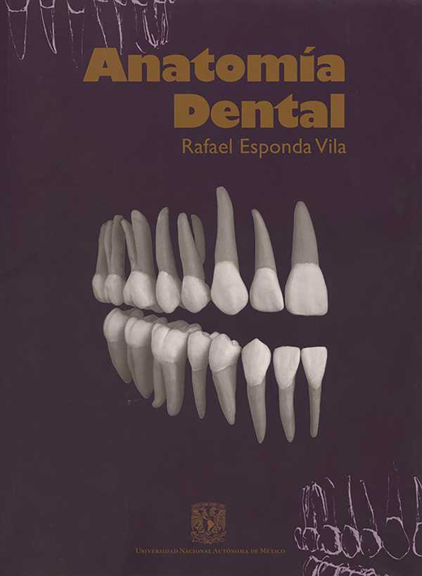 bw-anatomiacutea-dental-unam-direccin-general-de-publicaciones-y-fomento-editorial-9786073026529