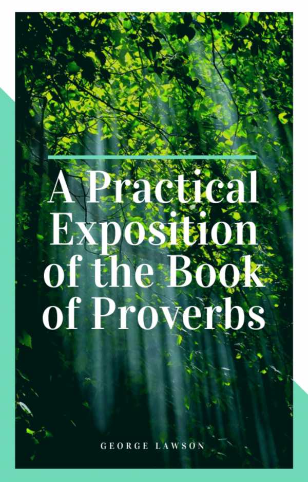 bw-a-practical-exposition-of-the-book-of-proverbs-darolt-books-9786586145267
