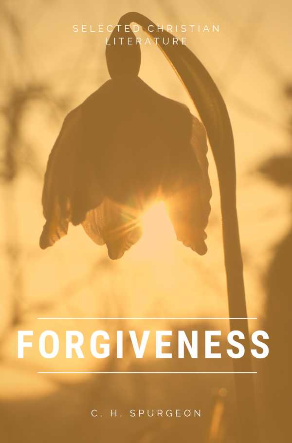 bw-forgiveness-darolt-books-9788835360803