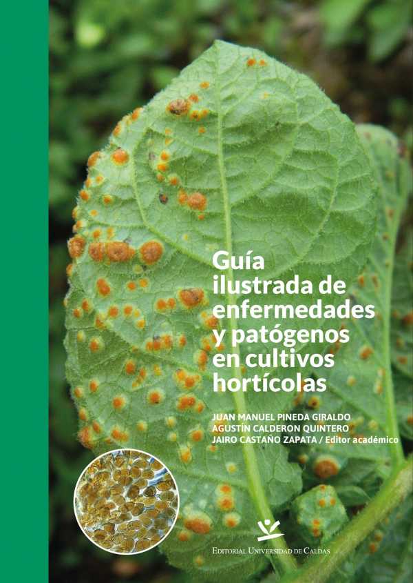 bw-guiacutea-ilustrada-de-enfermedades-y-patoacutegenos-en-cultivos-hortiacutecolas-editorial-universidad-de-caldas-9789587592368