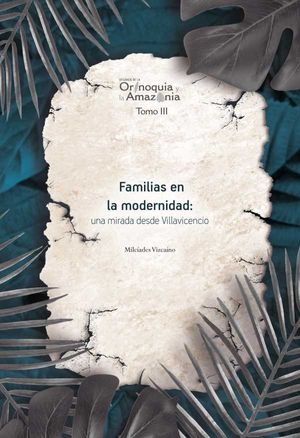 Familias en la modernidad: una mirada desde Villavicencio
