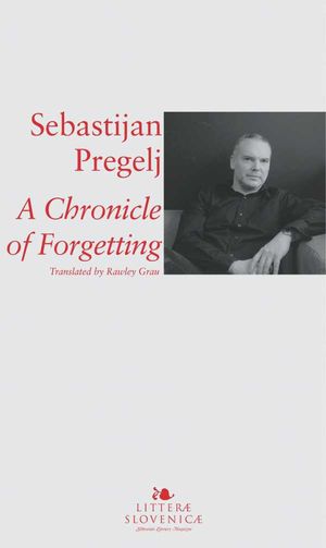 A Chronicle of Forgetting