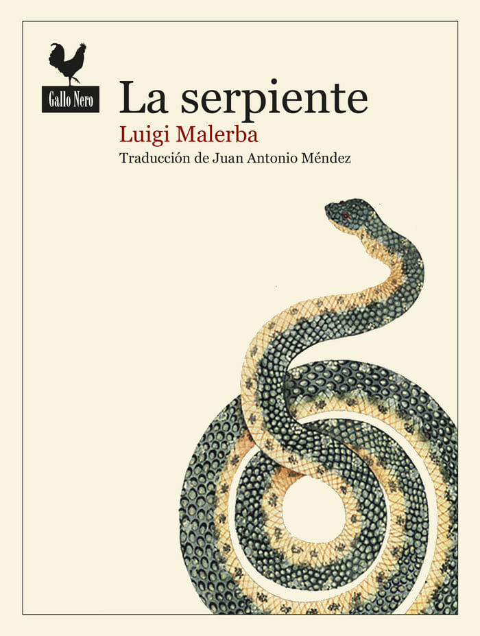 cel-la-serpiente-gallo-nero-