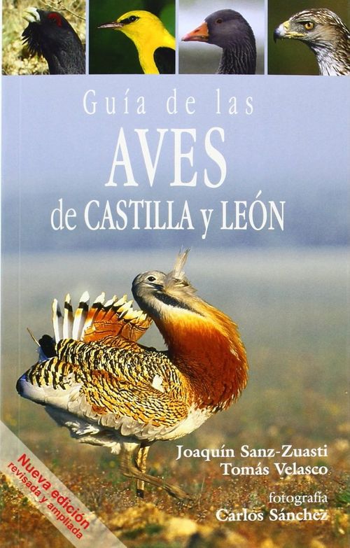 Guia De Las Aves De Castilla Y Leon