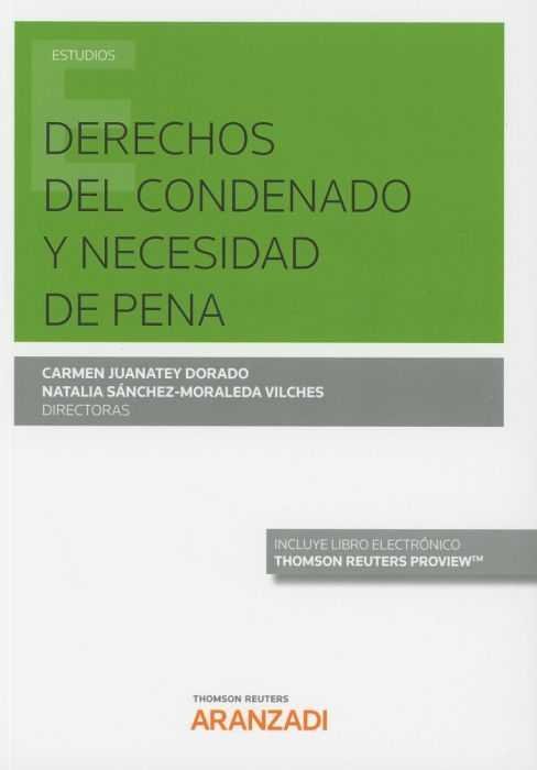 Derechos Del Condenado Y Necesidad De Pena (Papel + E-Book)