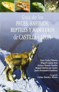 Gu¡a De Los Peces, Anfibios, Reptiles Y Mam¡feros De Castilla Y León