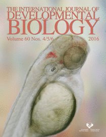 International Journal Of Developmental 60 7/8/9