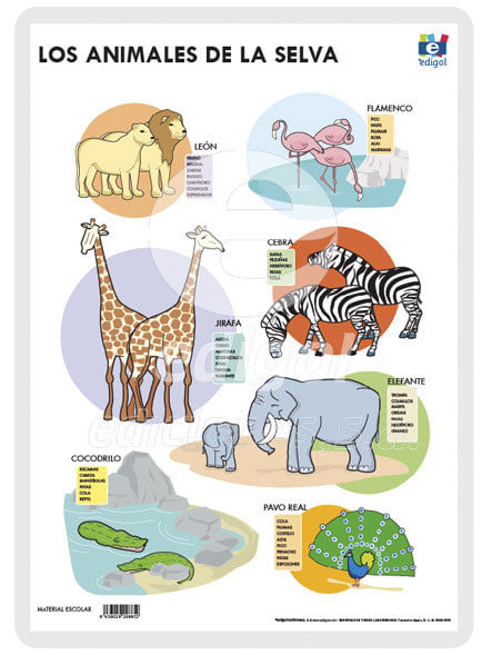 Lamina A3 Infantil Animales Selva (42X29) Me Gusta Saber