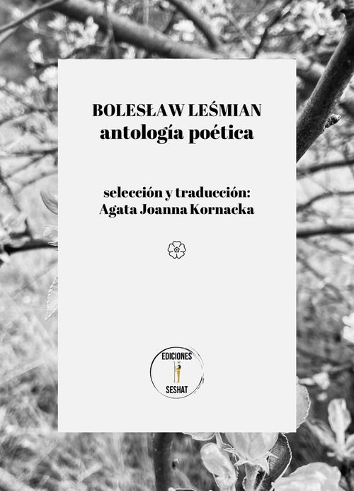 Boleslaw Lesmian Antologia Poetica