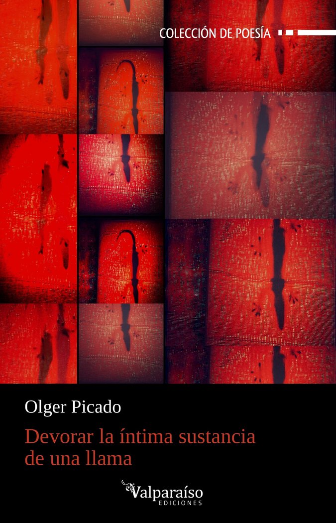 cel-devorar-la-intima-sustancia-de-una-llama-valparaiso-ediciones-