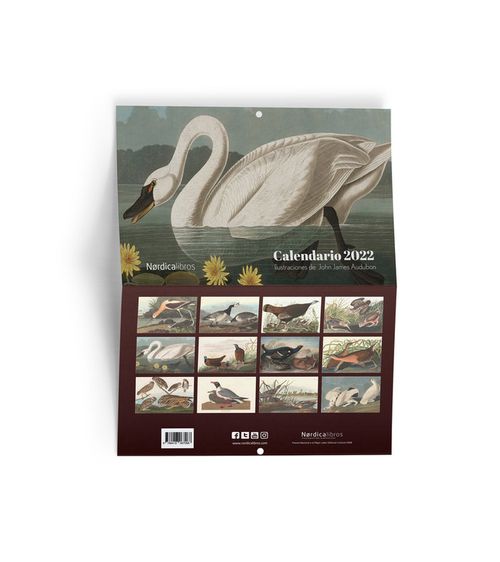 Calendario Aves De America 2022