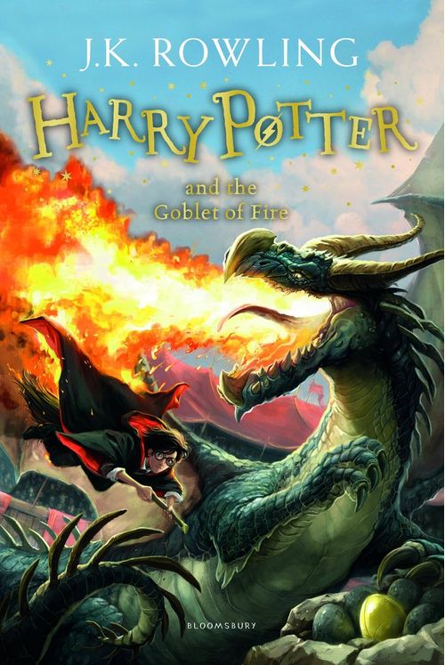 Harry Potter And Globlet Fire 4