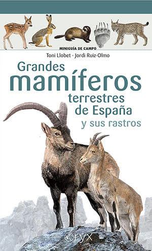 Grandes Mamiferos Terrestres De España Y Sus Rastros