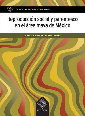 Reproducción social y parentesco en el área maya de México