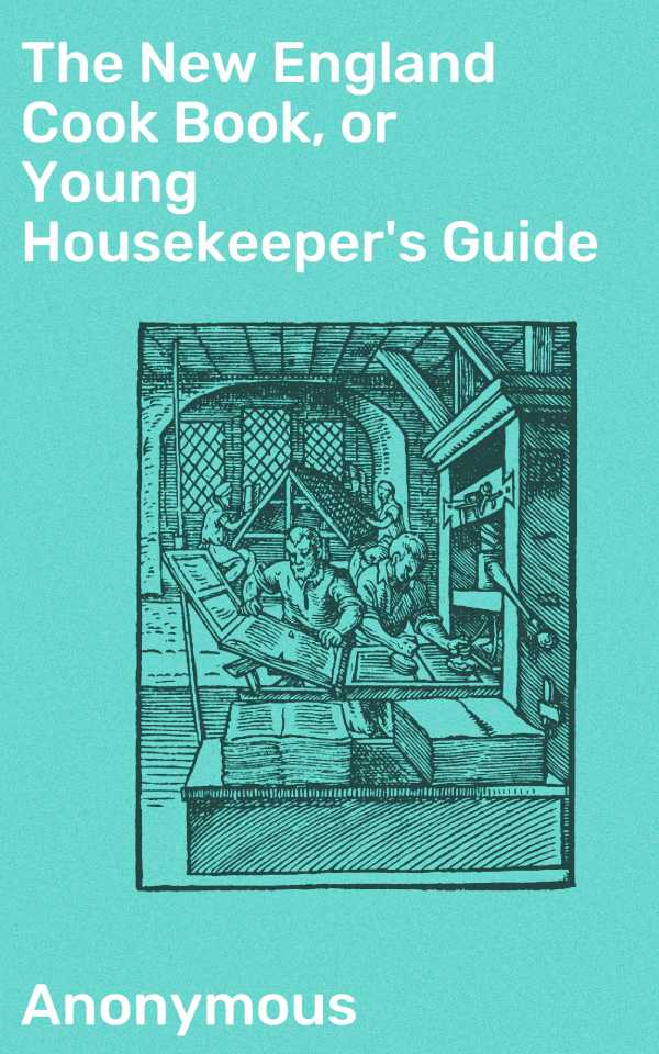 bw-the-new-england-cook-book-or-young-housekeepers-guide-good-press-4057664637185