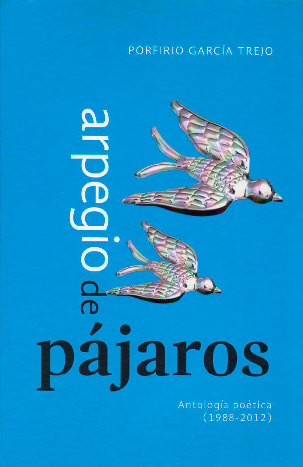 Arpegio-de-pajaros-9786074952872-dipo