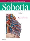 cel-sobotta-atlas-de-anatomia-humana-vol-1-24aa-ed-elsevier-