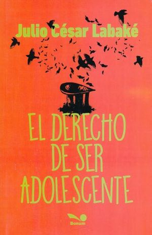 DERECHO DE SER ADOLESCENTE, EL