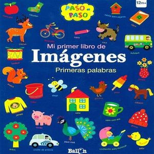 MI PRIMER LIBRO DE IMAGENES. PRIMERAS PALABRAS PASO A PASO / PD.