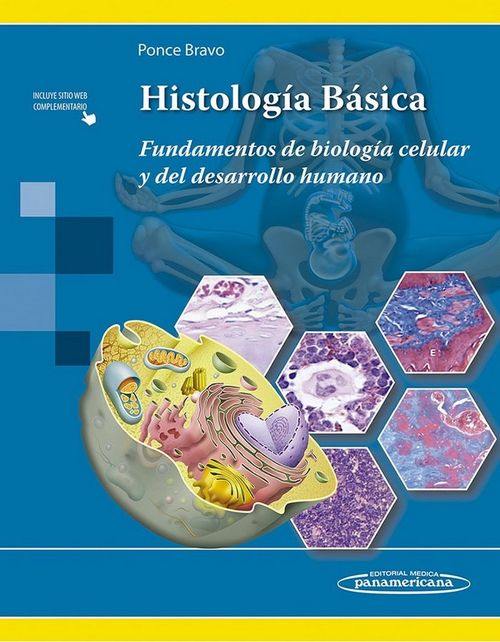 Ponce:histologæa Bçsica