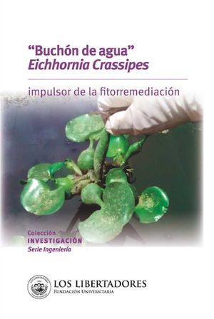 "Buchón de agua" (Eichhornia Crassipes):