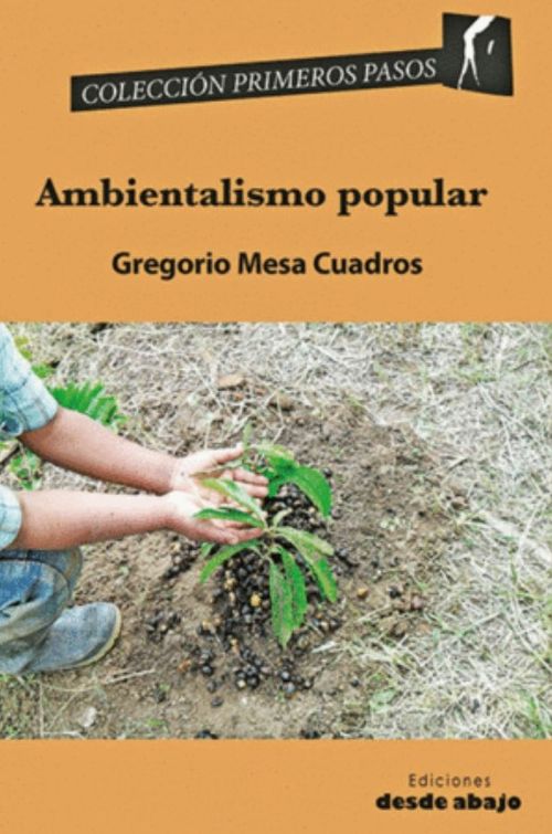 Ambientalismo popular