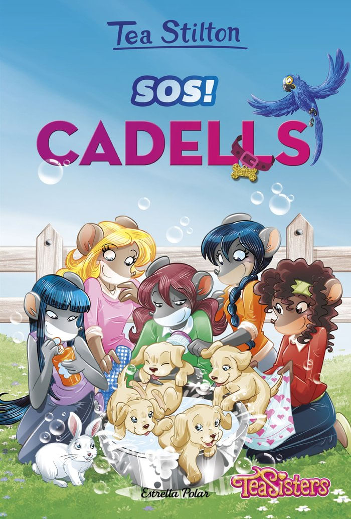 cel-sos-cadells-g62-estrella-polar-