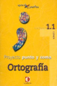 Aprende Y Practica, Punto Y Coma, Ortografía, 1.1