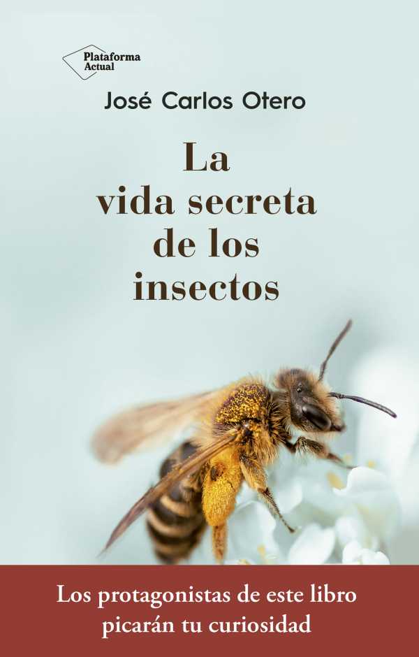 bw-la-vida-secreta-de-los-insectos-plataforma-9788417376796