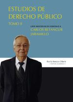 bw-estudios-en-derecho-puacuteblico-editorial-universidad-del-rosario-9789587845006