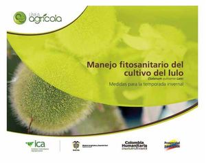 Manejo fitosanitario del cultivo del lulo (Medidas para la temporada invernal
