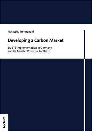 Developing a Carbon Market