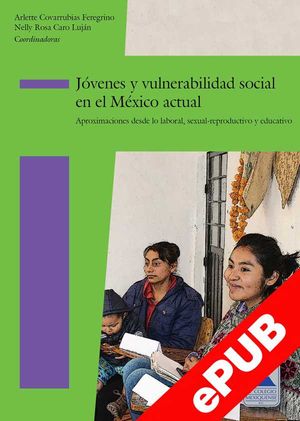 Jóvenes y vulnerabilidad social en el México actual