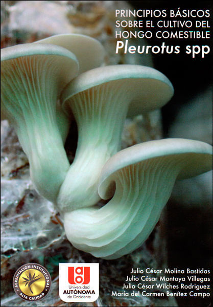 Principios básicos sobre el cultivo del hongo comestible Pleurotus spp