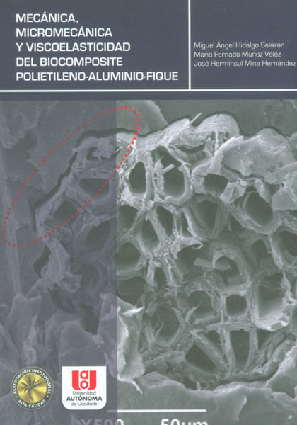 Mecánica micromecánica y viscoelasticidad del biocomposite polietileno  aluminio  fique