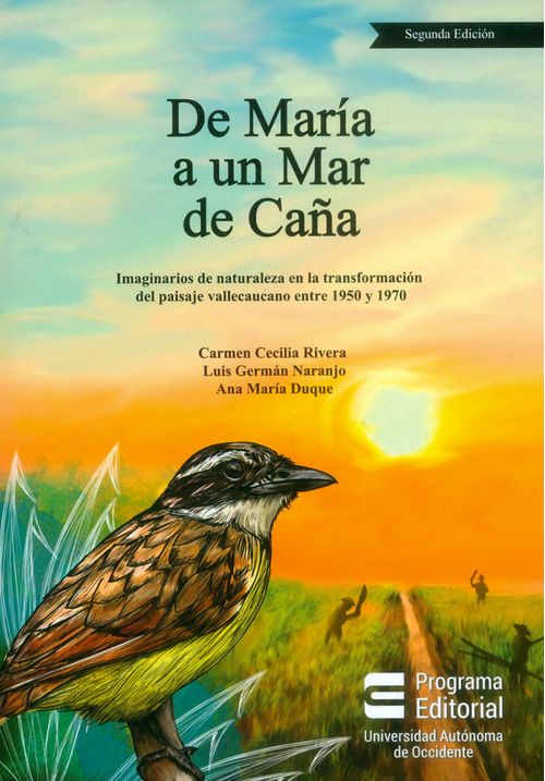 De María a un Mar de Caña Imaginarios de naturaleza en la transformación del paisaje vallecaucano entre 1950 y 1970 Segunda Edición