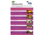 247_araucaria_13_prom