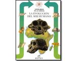 498_evolucion_promo