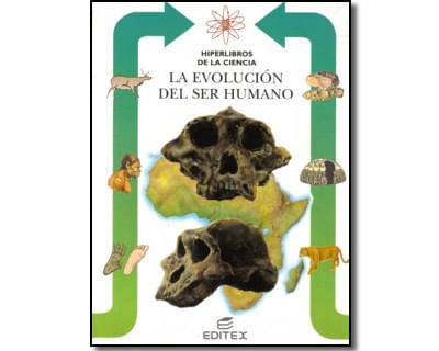 498_evolucion_promo