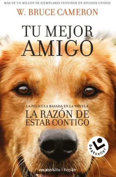 La razón de estar contigo