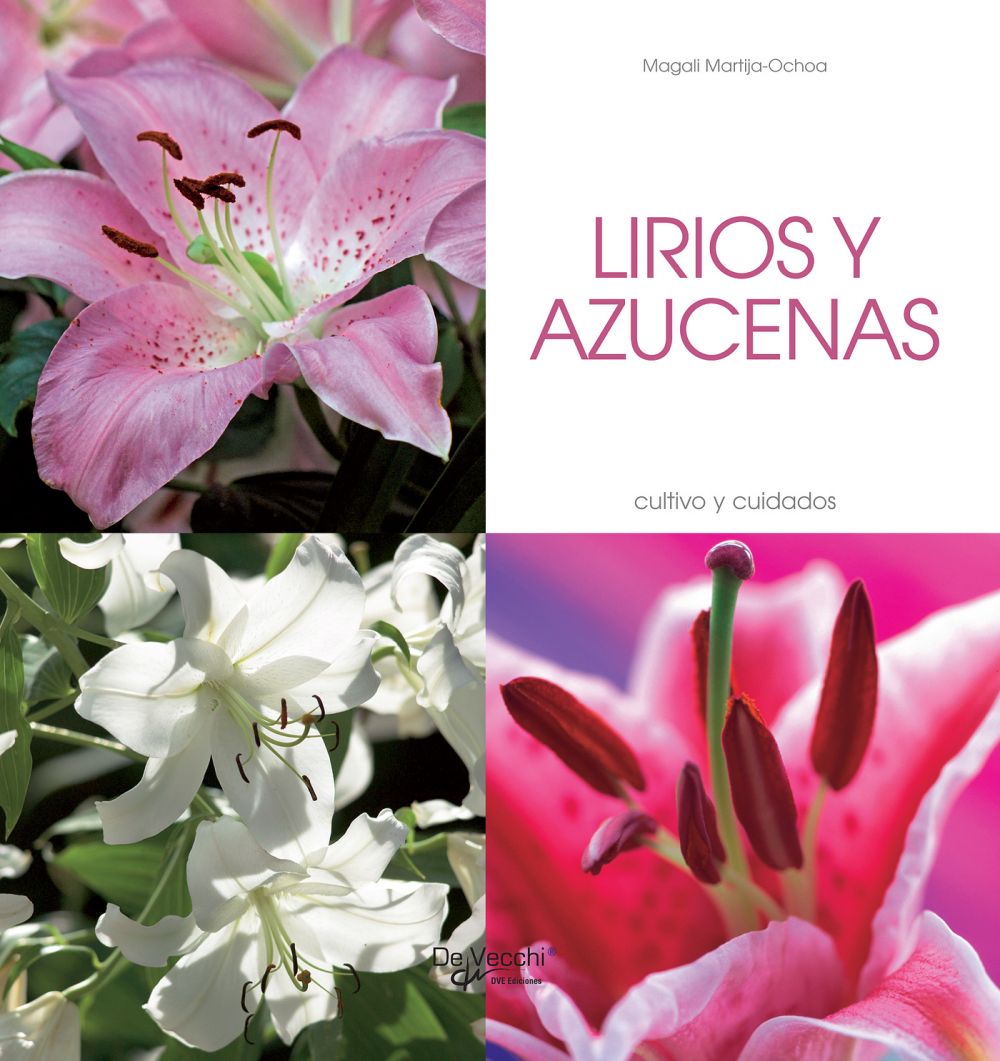 Lirios y azucenas - Cultivo y cuidados | Magali Martija-Ochoa - Libreria de  la U