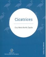 cicatrices-9789585011397-udea