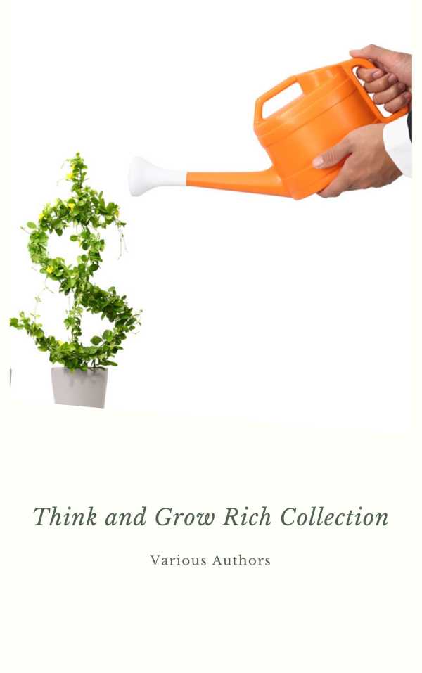 bw-think-and-grow-rich-collection-the-essentials-writings-on-wealth-and-prosperity-laura-mckenzie-9782291066286