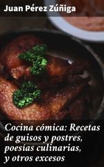 bw-cocina-coacutemica-recetas-de-guisos-y-postres-poesiacuteas-culinarias-y-otros-excesos-good-press-4057664131591