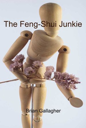 The FengShui Junkie